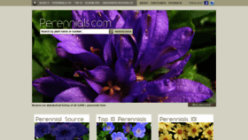 What Perennials.com website looked like in 2020 (4 years ago)