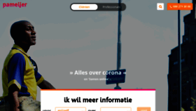 What Pameijer.nl website looked like in 2020 (4 years ago)