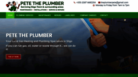 What Petetheplumber.ie website looked like in 2020 (4 years ago)