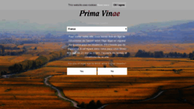 What Primavinae.com website looked like in 2020 (4 years ago)