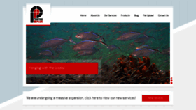 What Printingplusfl.com website looked like in 2020 (4 years ago)
