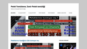 What Petektemizleme.co website looked like in 2020 (4 years ago)
