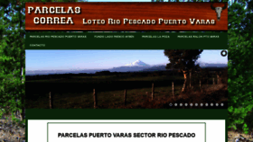 What Parcelascorrea.cl website looked like in 2020 (5 years ago)