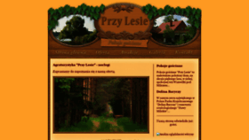 What Przy-lesie.com website looked like in 2020 (4 years ago)