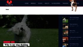 What Packofpets.com website looked like in 2020 (4 years ago)