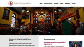 What Palyulnyc.org website looked like in 2020 (5 years ago)