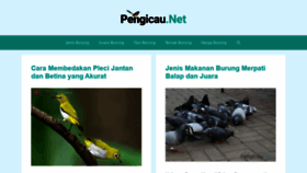 What Pengicau.net website looked like in 2020 (4 years ago)