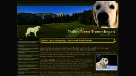 What Polishtatrasheepdog.ca website looked like in 2020 (4 years ago)