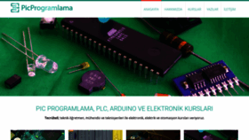 What Picprogramlama.org website looked like in 2020 (4 years ago)