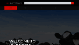 What Permbrand.co.nz website looked like in 2020 (3 years ago)