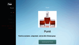 What Pumit.com website looked like in 2020 (4 years ago)