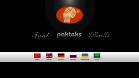 What Pakteks.com.tr website looked like in 2020 (3 years ago)