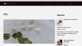 What Piszenpisze.hu website looked like in 2020 (3 years ago)