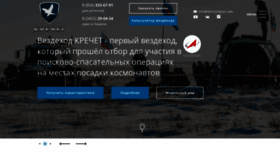 What Petrovichauto.ru website looked like in 2020 (3 years ago)