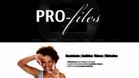 What Pro-files.biz website looked like in 2020 (3 years ago)