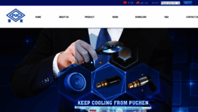 What Puchenvalve.com website looked like in 2020 (3 years ago)