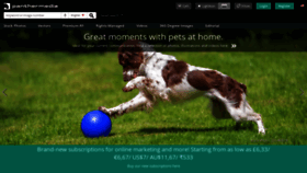 What Panthermedia.net website looked like in 2020 (5 years ago)