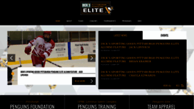 What Pittsburghpenguinselite.com website looked like in 2020 (3 years ago)