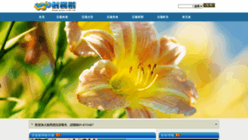 What Poja.com.tw website looked like in 2020 (5 years ago)