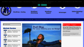 What Profi-blog.com website looked like in 2020 (3 years ago)