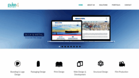 What Pulse4.net website looked like in 2020 (4 years ago)