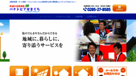 What P-sekiguchi.com website looked like in 2020 (3 years ago)