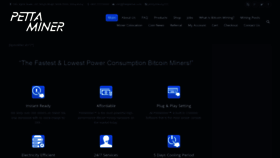 What Pettaminer.com website looked like in 2020 (4 years ago)