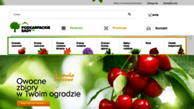 What Podkarpackiesady.pl website looked like in 2020 (3 years ago)