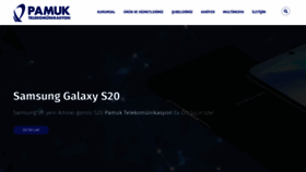 What Pamuktelekom.com.tr website looked like in 2020 (3 years ago)