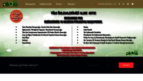 What Pikolatur.com website looked like in 2020 (3 years ago)