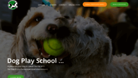 What Pawsoffun.com.au website looked like in 2020 (3 years ago)