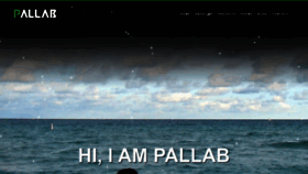 What Pallab.com website looked like in 2020 (3 years ago)