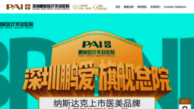 What Payy.cn website looked like in 2020 (3 years ago)