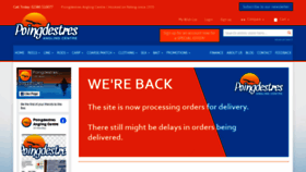 What Poingdestres.co.uk website looked like in 2020 (3 years ago)