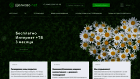 What Poig.ru website looked like in 2020 (3 years ago)