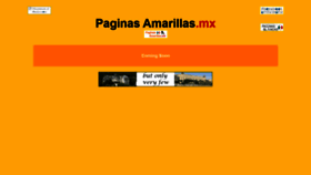 What Paginasamarillas.mx website looked like in 2020 (3 years ago)