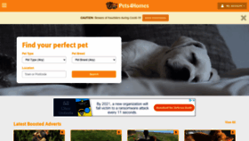 What Pets4homes.co.uk website looked like in 2020 (3 years ago)