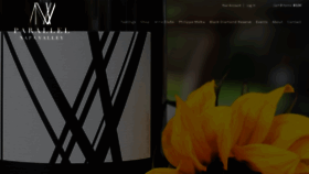 What Parallelwines.com website looked like in 2020 (4 years ago)