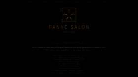 What Panycsalon.com website looked like in 2020 (3 years ago)