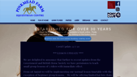What Pinkmead.co.uk website looked like in 2020 (3 years ago)