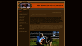 What Pmrbuffalo.com website looked like in 2020 (3 years ago)