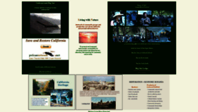 What Pelicannetwork.net website looked like in 2020 (3 years ago)