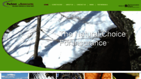 What Pachner.info website looked like in 2020 (3 years ago)