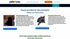 What Pets4you.com website looked like in 2020 (4 years ago)