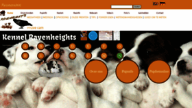 What Parsonutrecht.nl website looked like in 2020 (3 years ago)