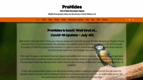 What Prohides.com website looked like in 2020 (3 years ago)