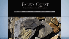 What Paleoquest.org website looked like in 2020 (3 years ago)