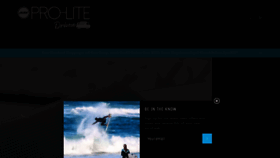 What Prolite.com website looked like in 2020 (3 years ago)