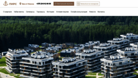 What Pirs.by website looked like in 2020 (5 years ago)