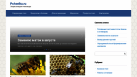 What Pcheelka.ru website looked like in 2020 (3 years ago)